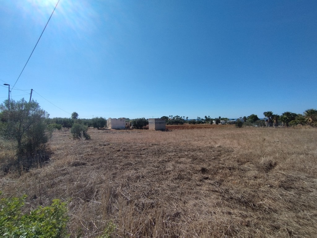 Giano Group Immobiliare